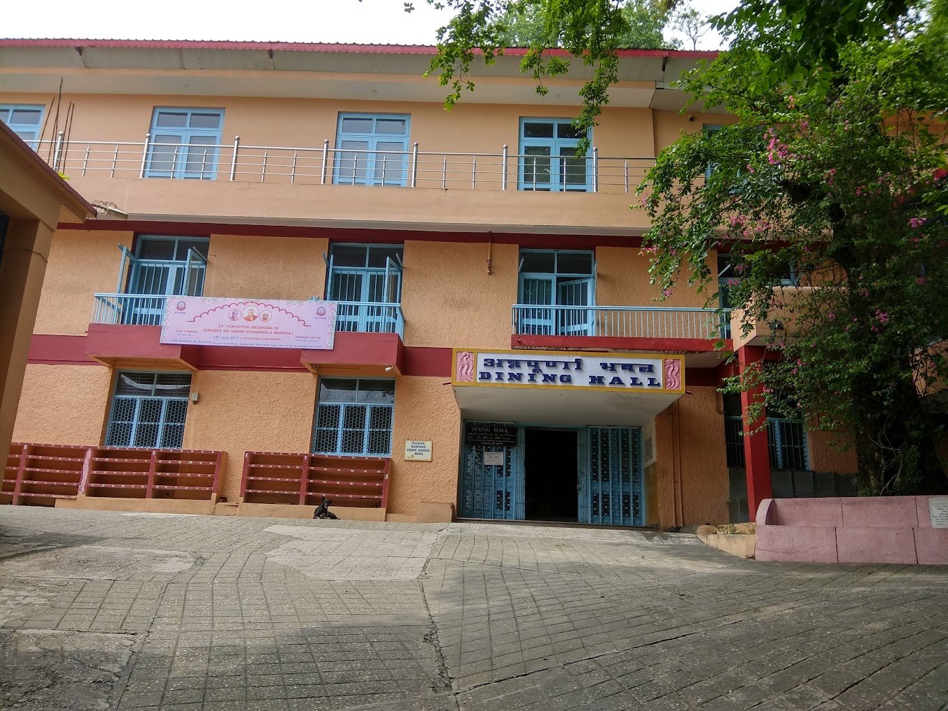 rishikesh - sivananda ashram
